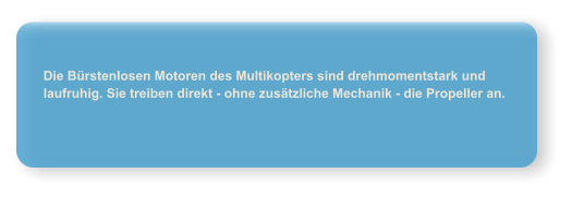 Die B�rstenlosen Motoren des Multikopters sind drehmomentstark und laufruhig. Sie treiben direkt - ohne zus�tzliche Mechanik - die Propeller an.